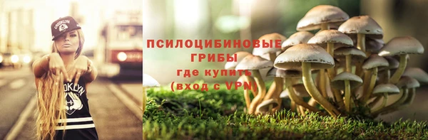молекула духа Алексин