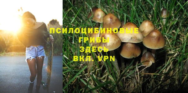молекула духа Алексин
