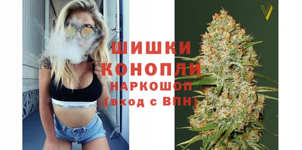 молекула духа Алексин