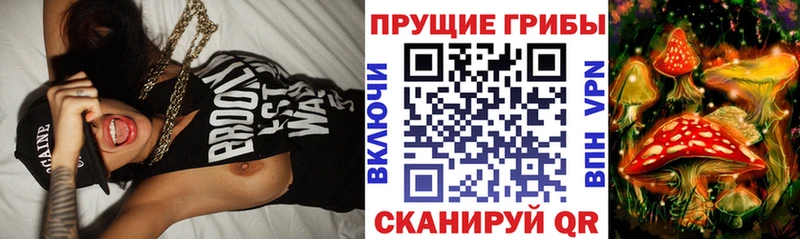 гидра ссылки  где купить наркотик  Лянтор  Псилоцибиновые грибы Psilocybine cubensis 
