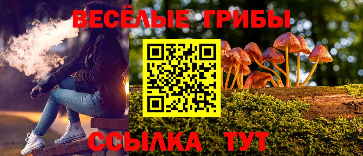 Меф Лянтор