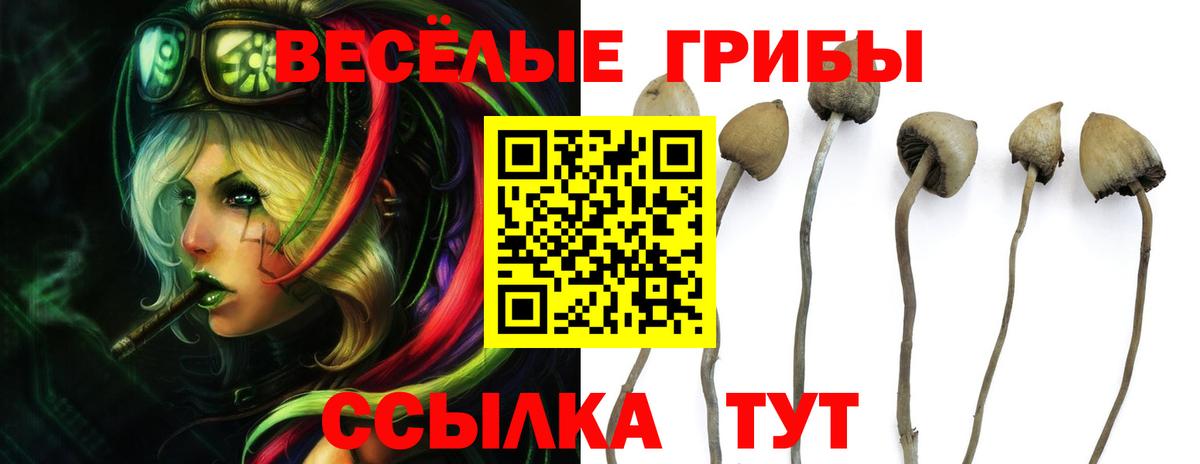 Лянтор  наркотики  Вход с VPN  Галлюциногенные грибы GOLDEN TEACHER 